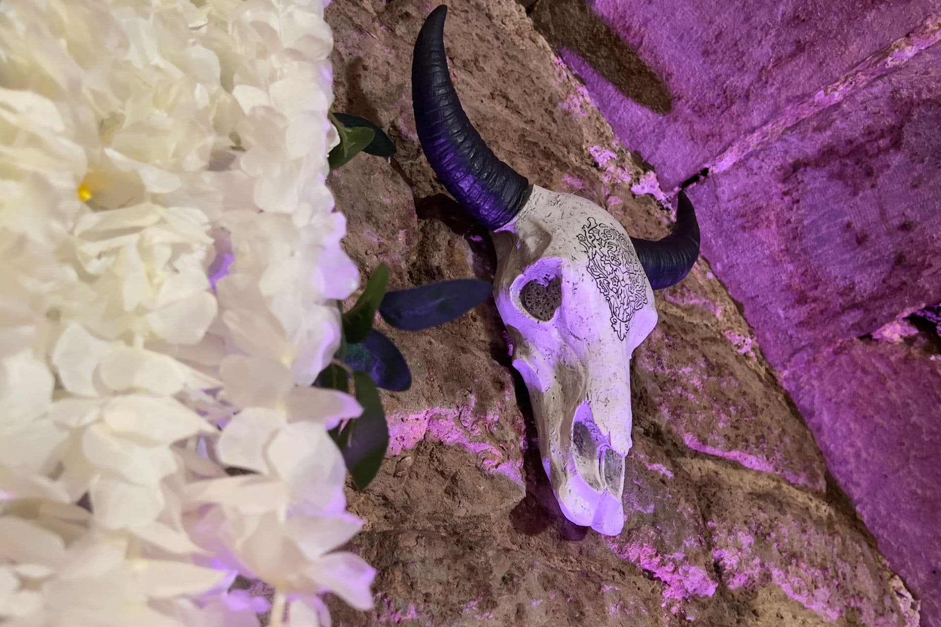 Paris Clandestin - Photo 4